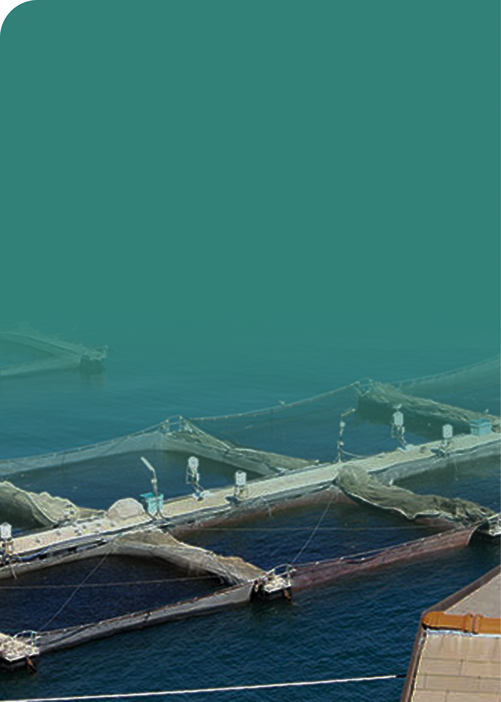 Inbound and outbound inventory management