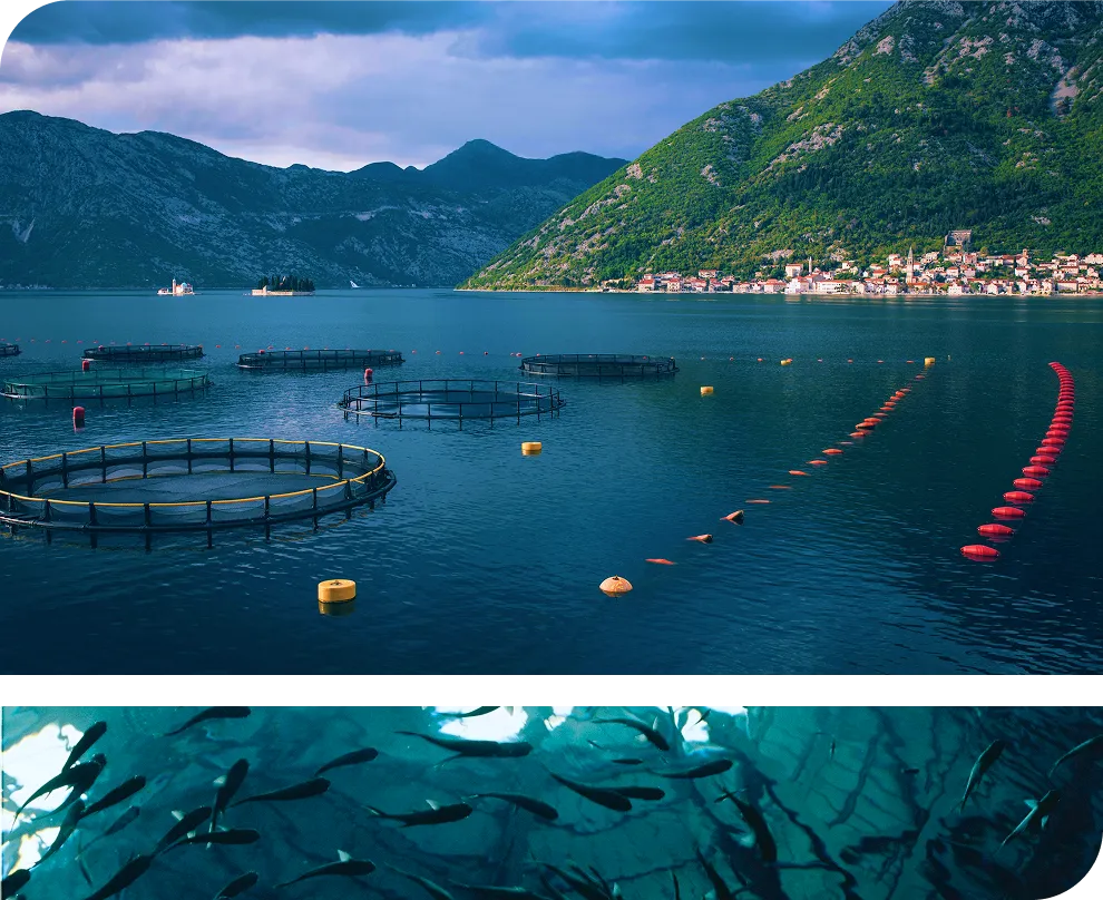 Why Choose BathyBlue