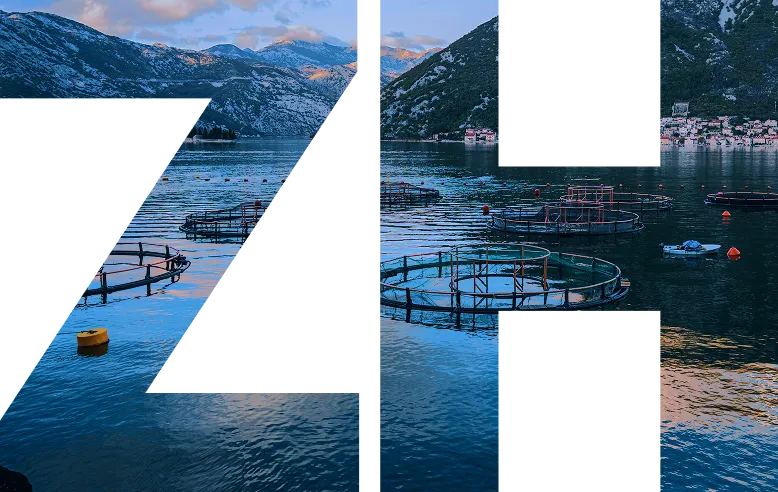 About DeepBlue Smart Navigation