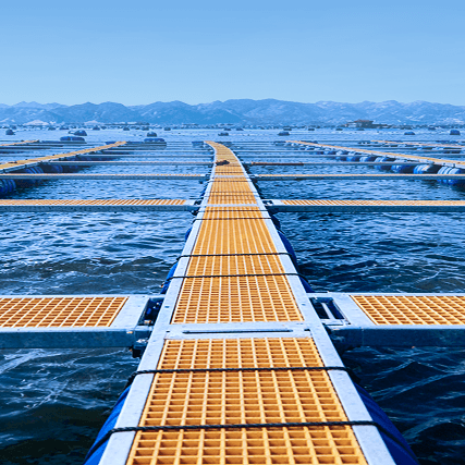 Offshore Cage Aquaculture Plan