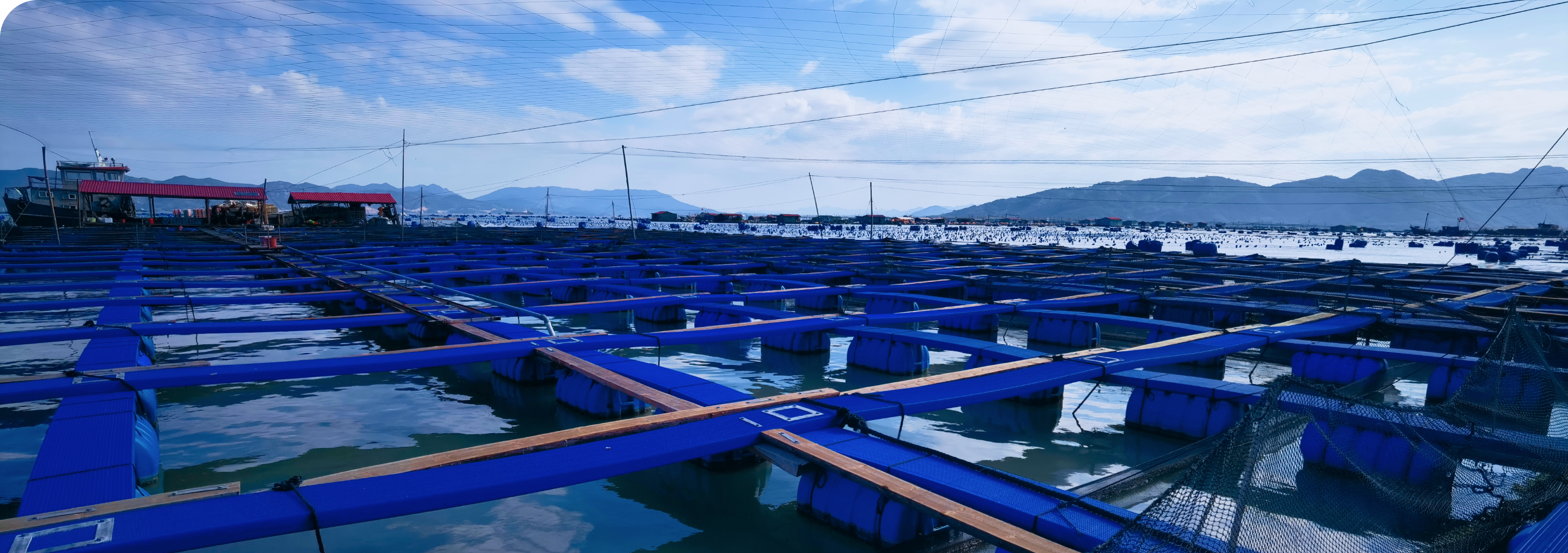 Offshore Cage Aquaculture Plan
